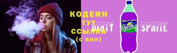 прущие грибы Абаза
