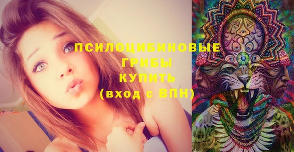 индика Абинск