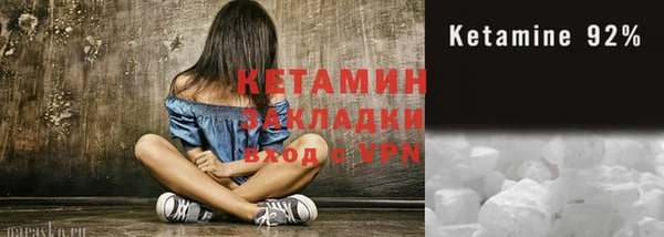 индика Дмитровск