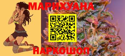 сатива Берёзовский
