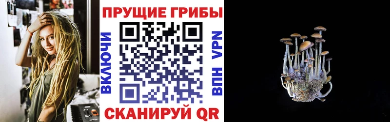 Псилоцибиновые грибы MAGIC MUSHROOMS Благодарный