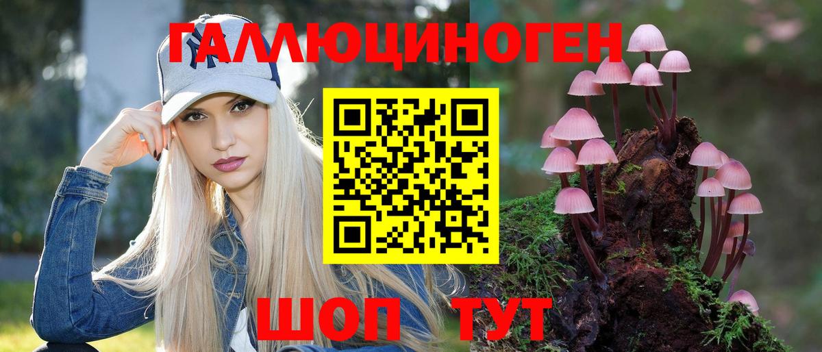 Благодарный  Галлюциногенные грибы Psilocybine cubensis  Вход с VPN  Галлюциногенные грибы мухоморы 