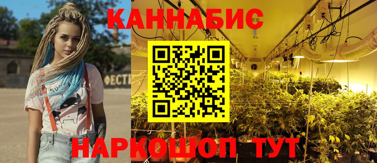 Канабис MAZAR Благодарный